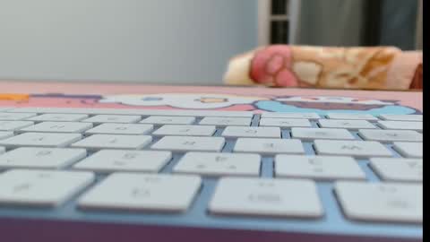 ANNYANNY online show from February 2026 06:04:02 PM