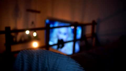 Sunflower  online show from February 2026 05:10:02 PM