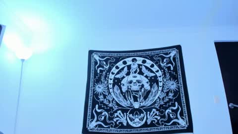   online show from December 2024 09:24:01 AM