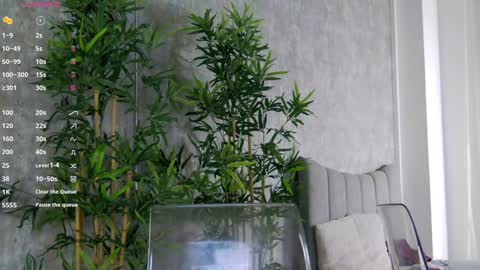 CelineMeyer online show from January 2025 01:56:02 PM