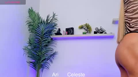 Snapshot of cellesteevans chatting on January 2025 04:13:01 AM Celeste online show from January 2025 04:13:01 AM