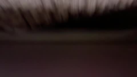 cenobitfor online show from March 2026 12:01:01 PM