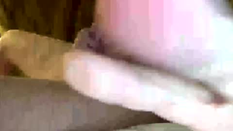 cfnmekim online show from February 2025 04:41:02 PM