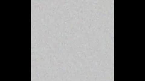 Charlotte online show from March 2025 02:56:01 PM