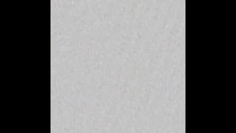 Charlotte online show from October 2025 04:03:02 PM