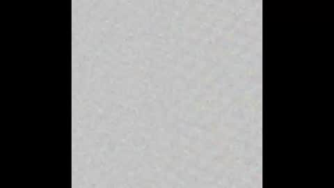 Charlotte online show from October 2025 06:16:01 PM