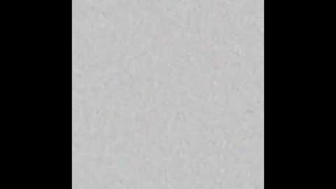 Charlotte online show from November 2025 04:18:02 PM