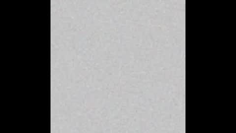 Charlotte online show from February 2026 03:18:01 PM