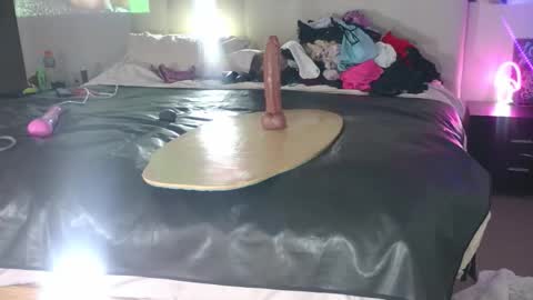 Sah009XXX online show from March 2026 11:26:02 AM