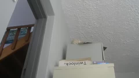 Snapshot of chaturbatordeluxe chatting on December 2025 05:47:02 AM chaturbatordeluxe online show from December 2025 05:47:02 AM