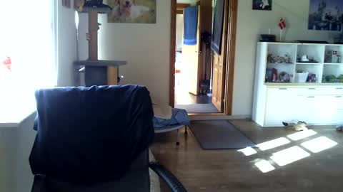 Snapshot of chefben666 chatting on October 2025 10:27:02 AM chefben666 online show from October 2025 10:27:02 AM