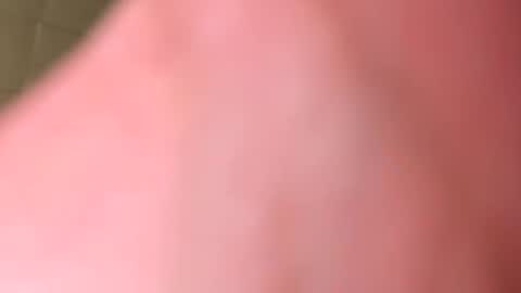 chemmi2023 online show from December 2025 04:28:02 AM