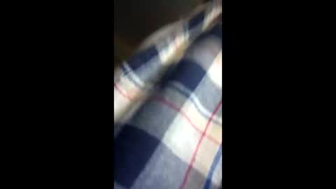 chi579822 online show from March 2026 04:29:01 AM