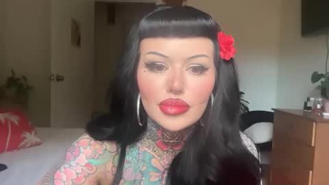 Chickhabit66 online show from November 2025 04:56:02 AM