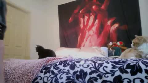 ChinaCove online show from February 2026 12:40:01 AM