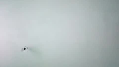 chispahot69 online show from November 2025 07:53:01 AM