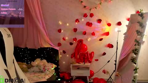 Boni online show from February 2026 03:01:01 AM