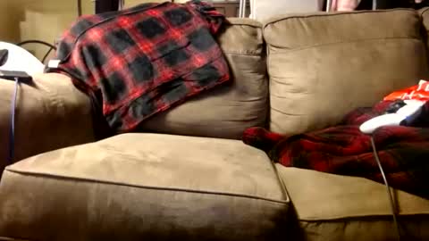 Snapshot of chrisintn chatting on November 2025 04:06:01 PM chrisintn online show from November 2025 04:06:01 PM