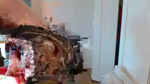 christophe_throbin online show from January 2026 10:52:01 PM