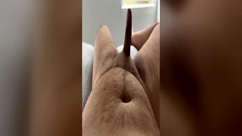 chubbydick9069 online show from June 2026 04:20:01 PM