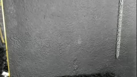 Snapshot of cintyarose chatting on February 2026 01:21:02 PM cintyarose online show from February 2026 01:21:02 PM