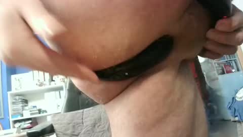 Circus Bear online show from January 2025 03:58:01 PM