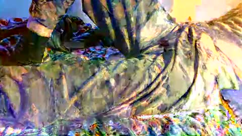 Snapshot of cityman2023 chatting on March 2025 07:27:02 AM dan online show from March 2025 07:27:02 AM