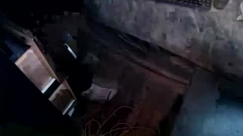 cj_wunderlust online show from November 2025 07:02:02 PM