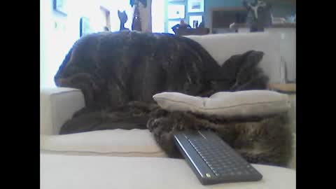 Snapshot of clitboy658752 chatting on January 2026 09:42:01 PM clitboy658752 online show from January 2026 09:42:01 PM