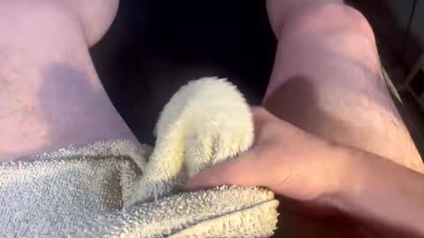 Clover online show from November 2025 04:30:01 PM