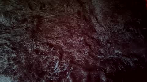 clydeninethousand online show from September 2025 04:52:01 PM