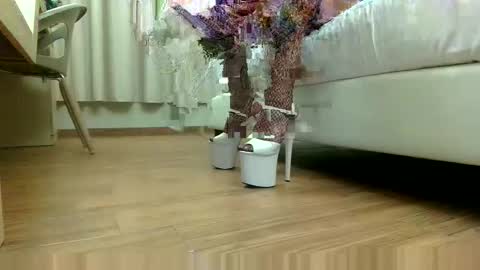 Snapshot of cm88chat chatting on November 2025 10:41:02 PM Lauratrav88 online show from November 2025 10:41:02 PM