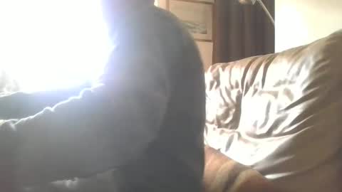 cock9635 online show from December 2024 07:55:01 AM