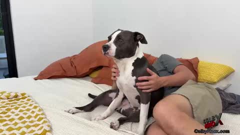 colbyknox online show from November 2025 10:53:02 PM