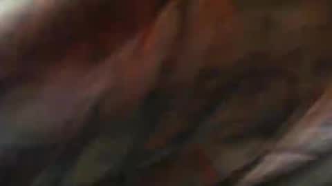 comox online show from February 2025 09:04:01 AM