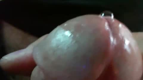 comox online show from November 2025 08:35:01 AM