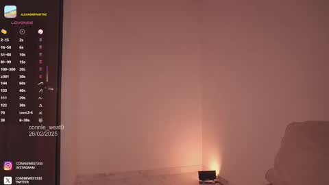 Snapshot of connie_west0 chatting on February 2025 11:15:02 PM independent model online show from February 2025 11:15:02 PM