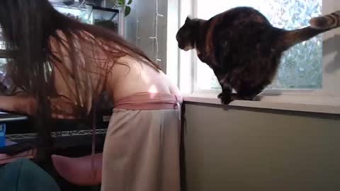 Snapshot of constantcumquest chatting on September 2025 08:24:02 PM ANR Mommy online show from September 2025 08:24:02 PM