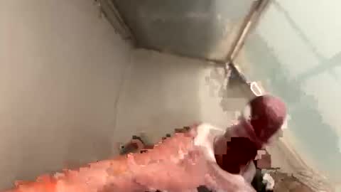 cookie_monster8593 online show from April 2026 09:49:02 PM