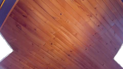 Coraline online show from January 2025 01:45:02 AM