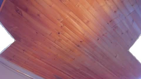 Coraline online show from January 2025 12:27:02 AM