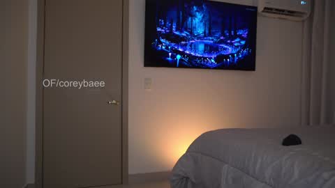 Snapshot of coreybae chatting on January 2025 11:46:01 PM coreybae online show from January 2025 11:46:01 PM