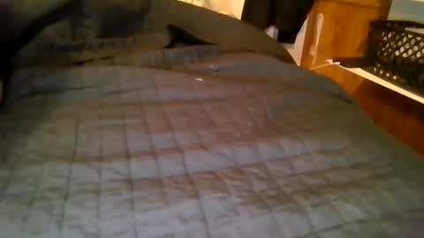 your local abrasive ALT couple online show from March 2026 08:07:01 AM