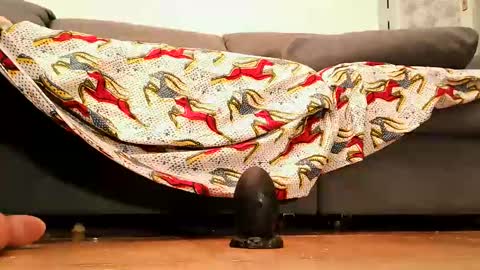 Andy sissy room online show from September 2025 04:33:02 PM