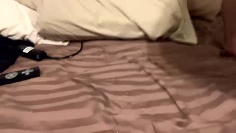 Snapshot of countrystudd chatting on December 2024 08:58:01 AM Countrystudd online show from December 2024 08:58:01 AM