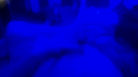 Snapshot of countrystudd chatting on December 2025 08:12:02 AM Countrystudd online show from December 2025 08:12:02 AM