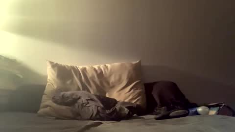 Snapshot of cricri75020 chatting on November 2025 01:49:01 AM cricri75020 online show from November 2025 01:49:01 AM