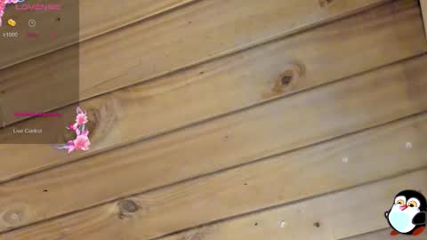 Cristal online show from March 2026 04:05:02 AM