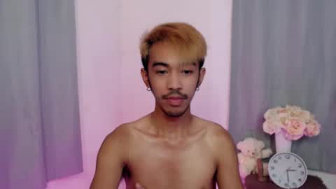 crocodale online show from November 2025 11:02:02 AM