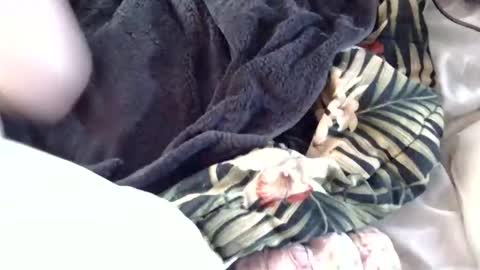 Snapshot of crucifux69 chatting on January 2025 08:31:02 PM Crucifux online show from January 2025 08:31:02 PM